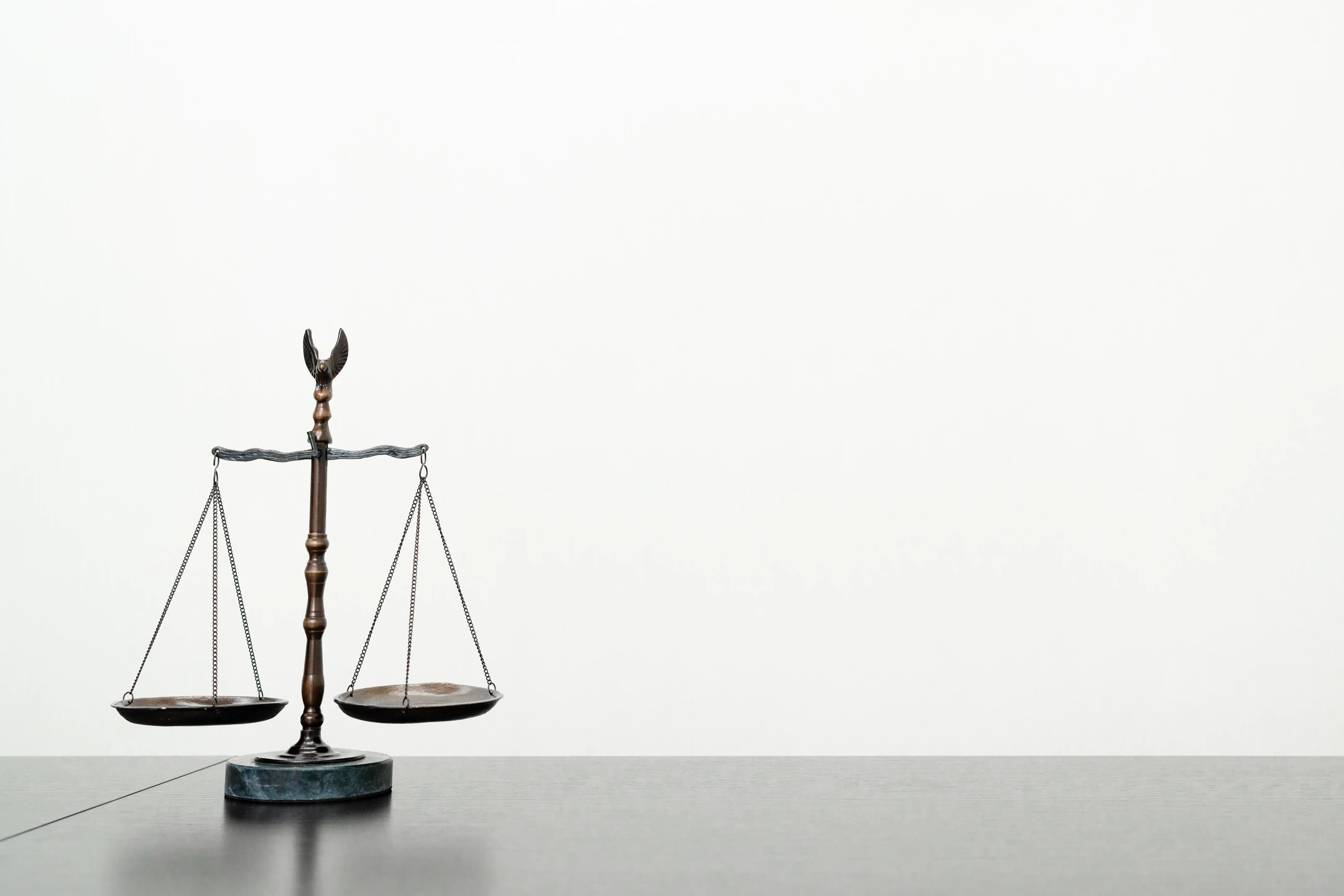 トップビュー画像4